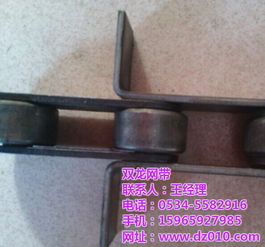 尼龍滾子鏈條與雙龍穿桿網(wǎng)帶的定制 絲網(wǎng)輸送帶的專業(yè)解決方案